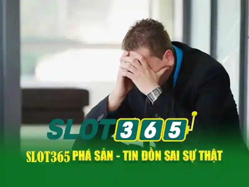 Quyền lợi người chơi trong chính sách bảo mật slot365