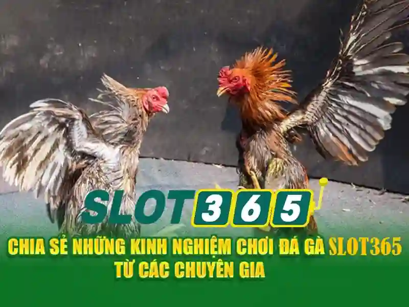 Trò chơi đa dạng và chất lượng\n<p><span style=