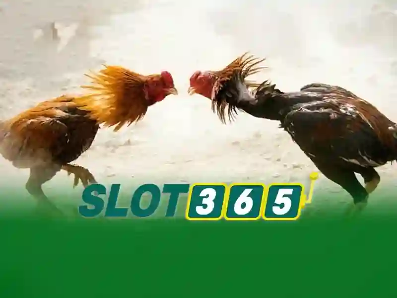 Tổng quan chủ đề và giá trị cốt lõi của slot365 app