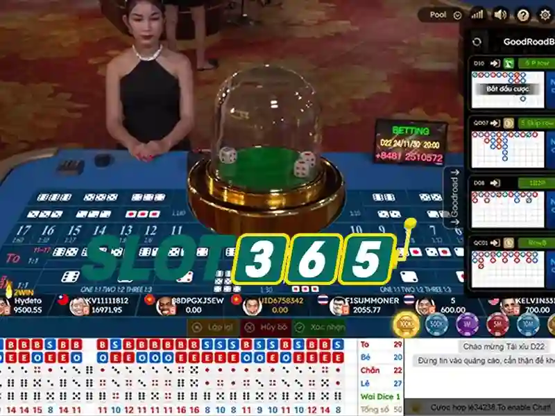 Slot365: Tổng quan về nền tảng