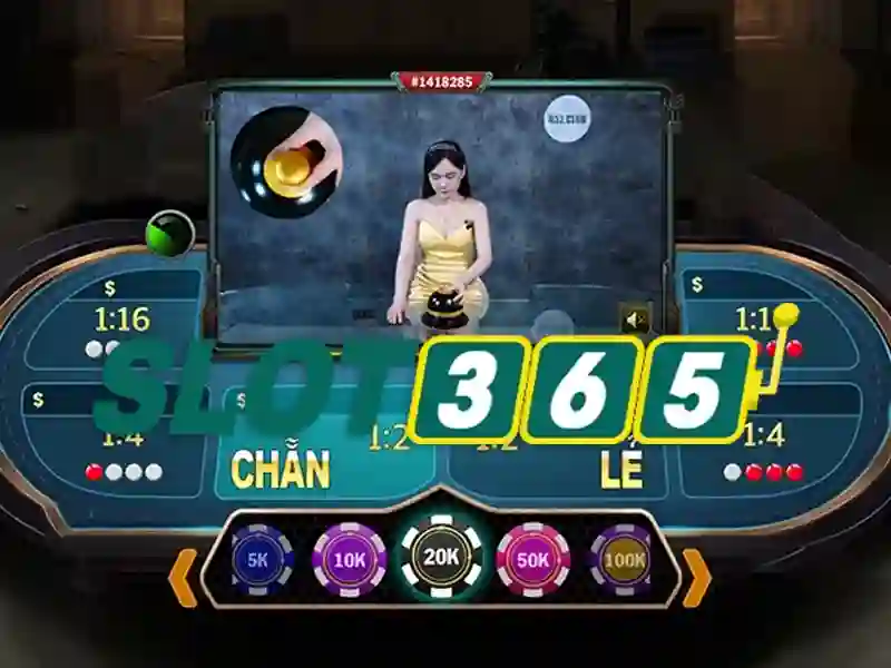Phản hồi người dùng và cộng đồng Slot365