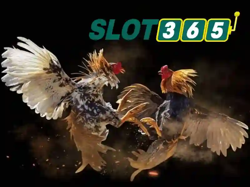 Slot365 là gì?