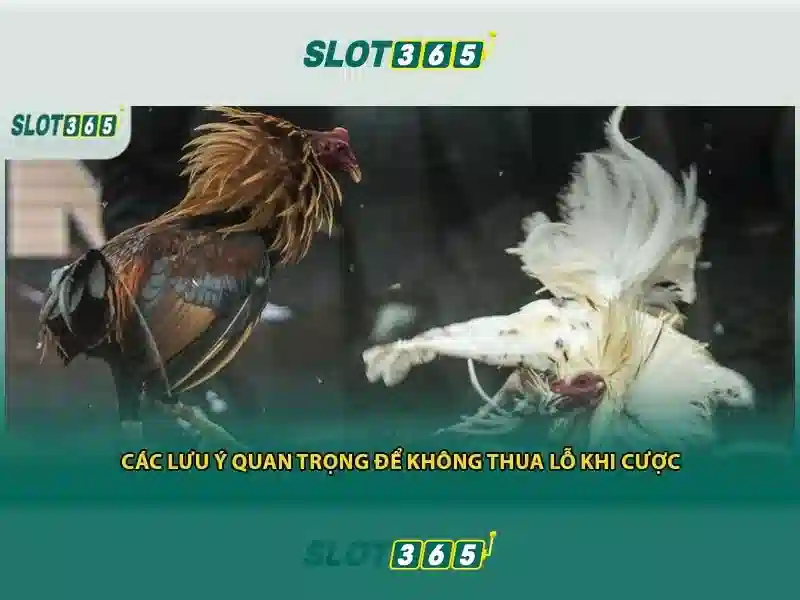Giao diện nhà cái hoàn hảo