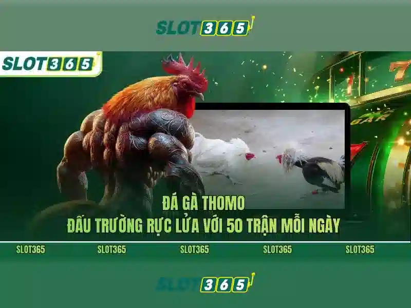 Slot365 là gì?