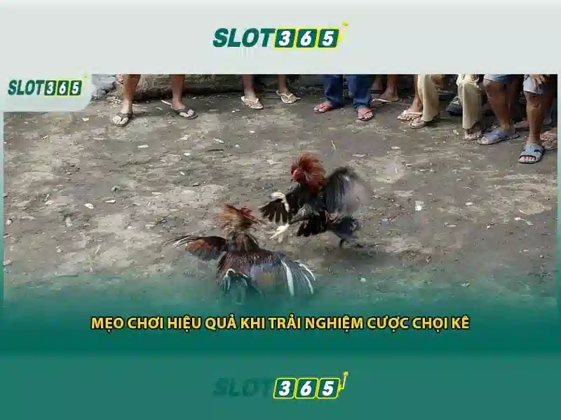 nguồn gốc và sứ mệnh slot365 tặng 200k