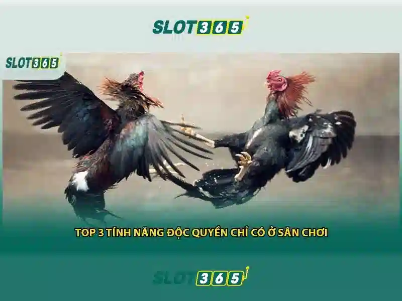 review Slot365 – Tổng quan chủ đề và giá trị cốt lõi