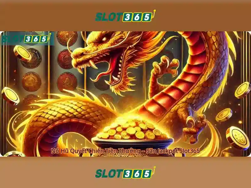 Ket luan va phan hoi