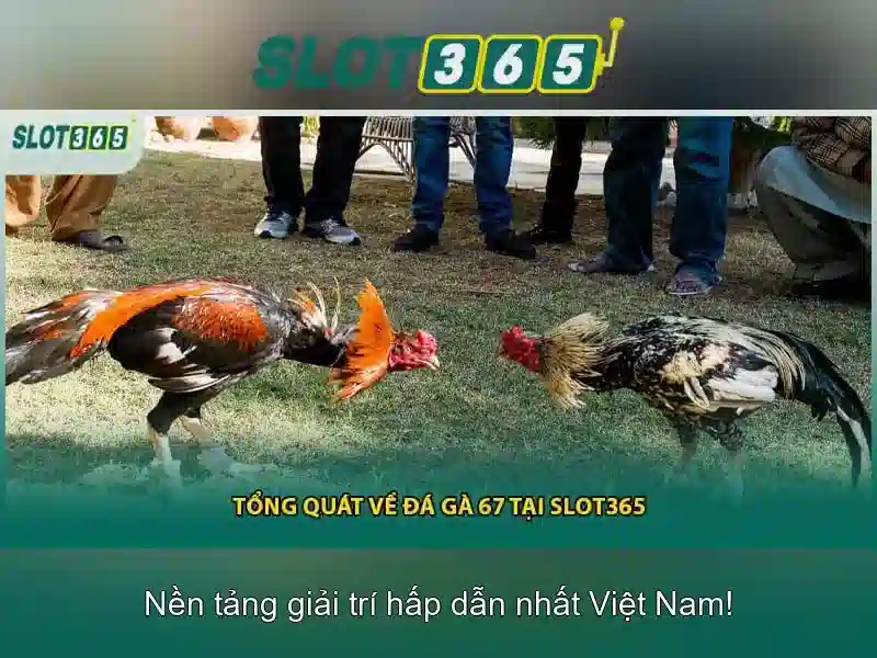 Slot365 – Tổng quan về nền tảng slot trực tuyến Giao diện nhà cái hoàn hảo