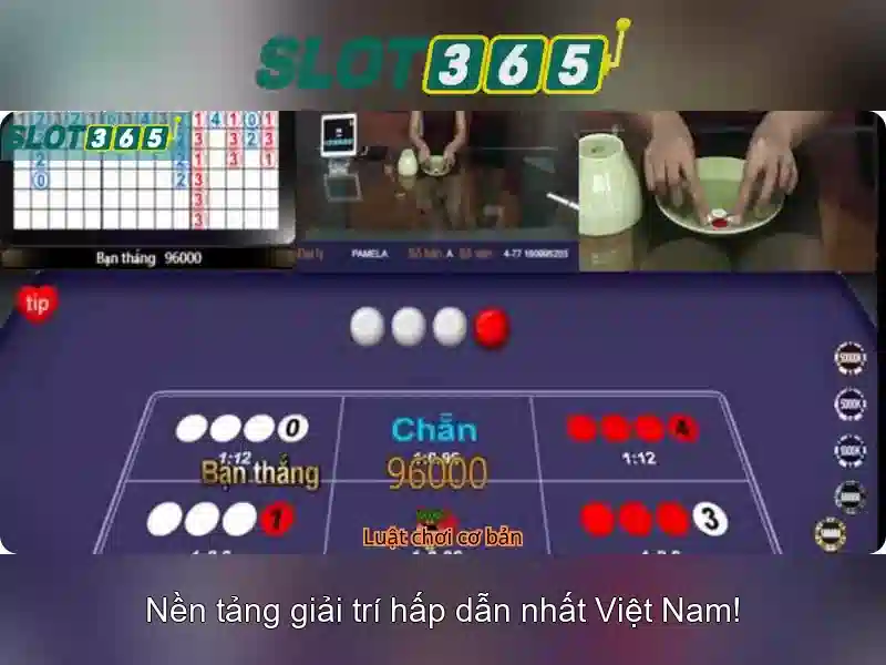 Slot365 là gì?