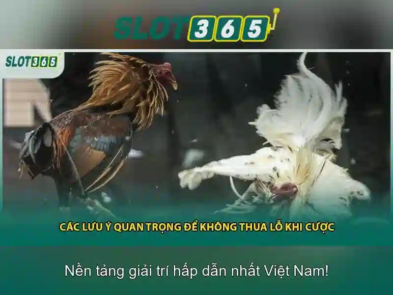 Danh mục trò chơi và những lựa chọn phổ biến