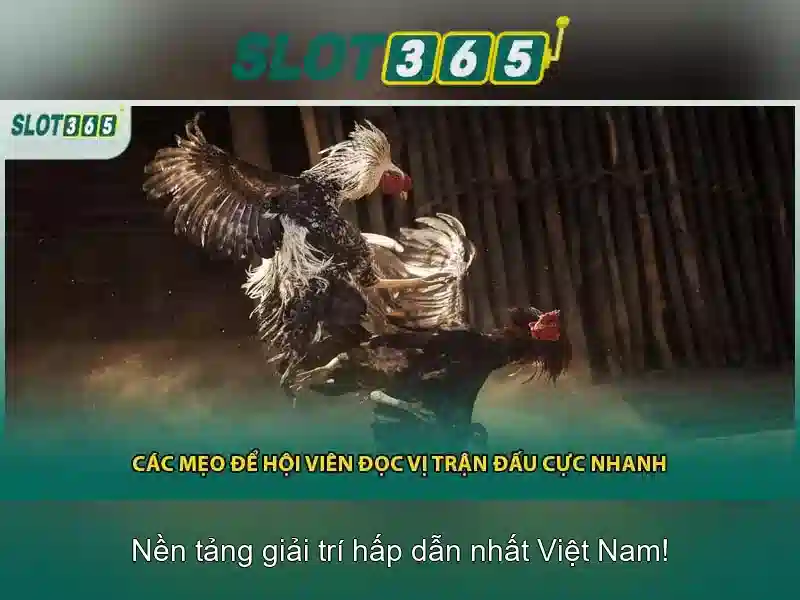 Giao diện nhà cái hoàn hảo