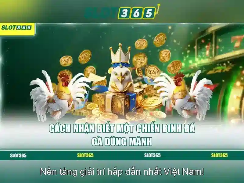 Slot365 - Trải nghiệm casino trực tuyến đáng tin cậy Giao diện nhà cái hoàn hảo