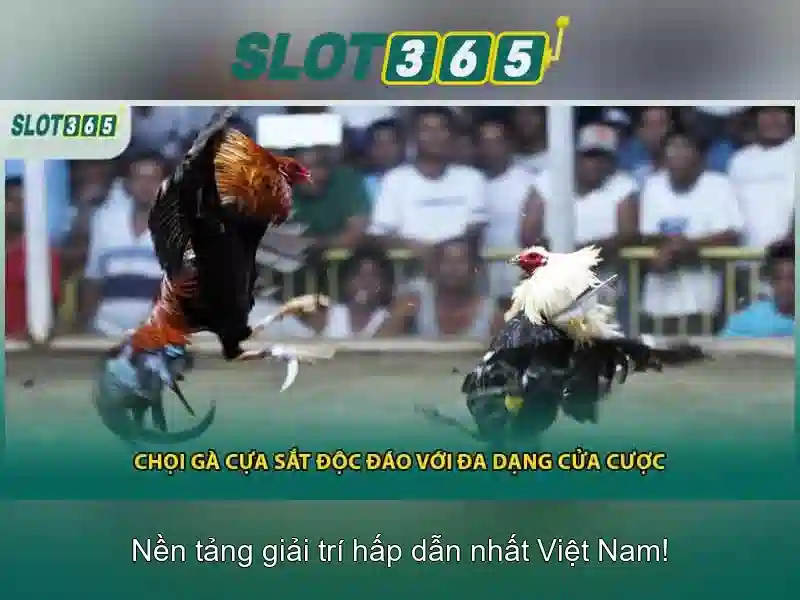 Khuyến mãi và thanh toán