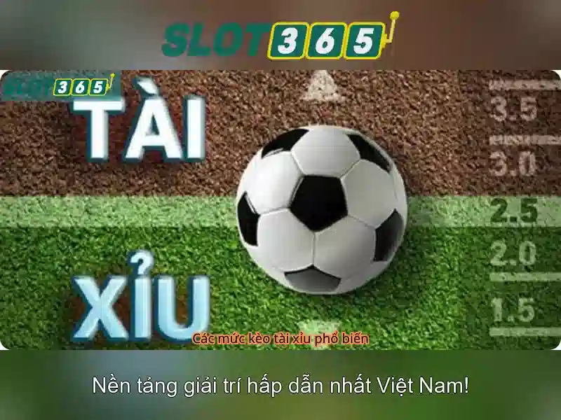 Slot365: Nền tảng chơi xèng trực tuyến Giao diện nhà cái hoàn hảo
