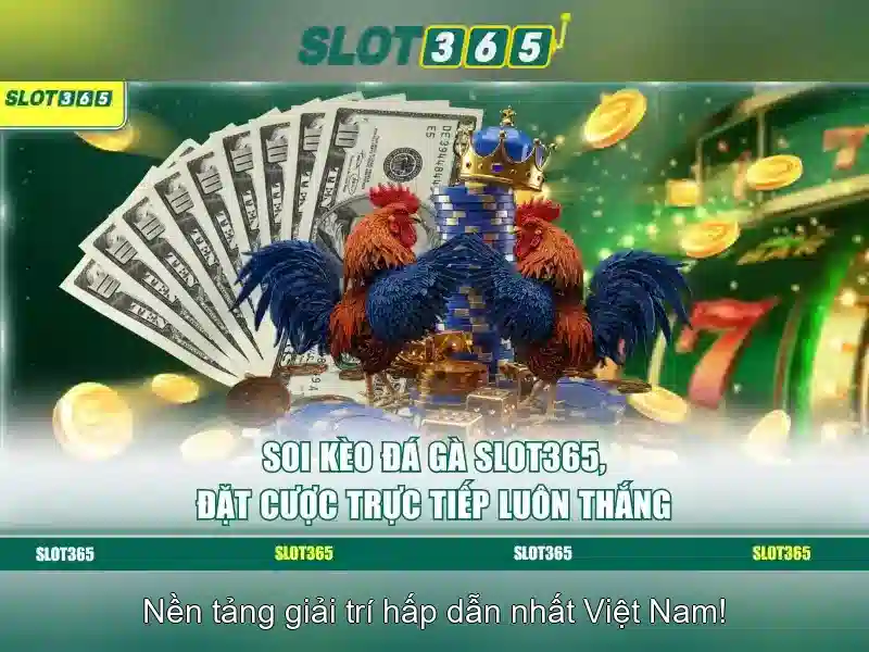 Giao diện nhà cái hoàn hảo