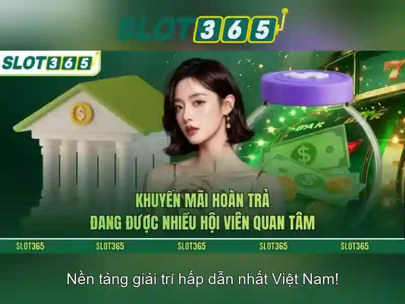 Giao diện người dùng và trải nghiệm