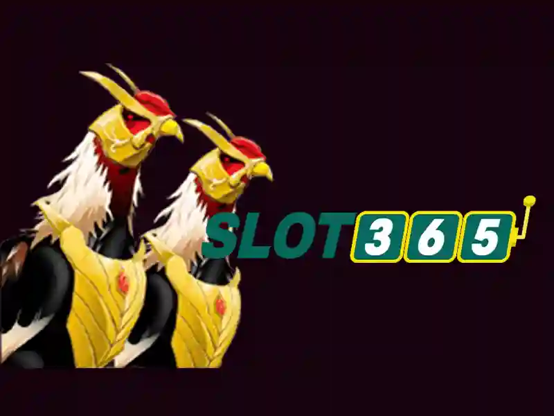 Slot365 apk – Định hướng mới cho trải nghiệm giải trí số