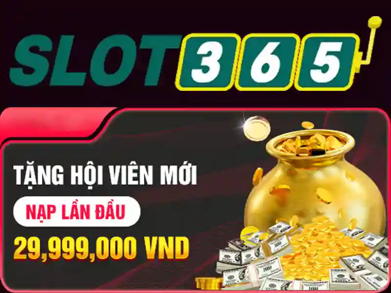Sản phẩm và dịch vụ chính của đăng ký Slot365