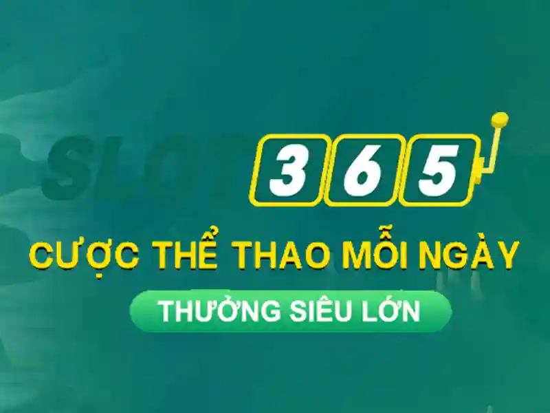 Khuyến mãi và điều khoản