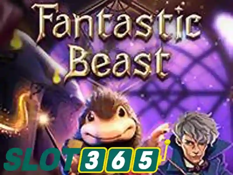 Phản hồi cộng đồng và trải nghiệm người dùng